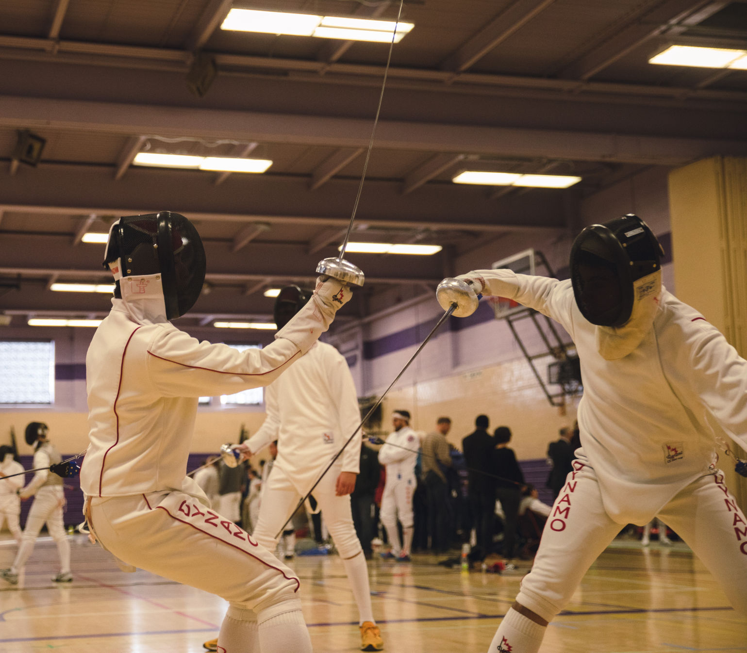 Fencing 6